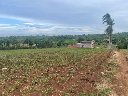 Bán đất 5400m² giá 4.25 tỷ Xã Ea Kar