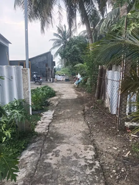 ĐẤT CHÍNH CHỦ - GIÁ TỐT - Cần Bán Đất  Ấp Long Bình, xã Phú Thành, Đồng Tháp