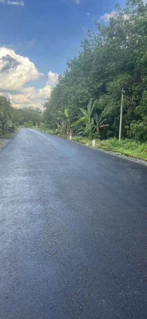 (S711) Đất gần Bùi Thị Điệt, xã Phạm Văn Cội, dt 242m2, thổ 120m2, giá 2 tỷ 300