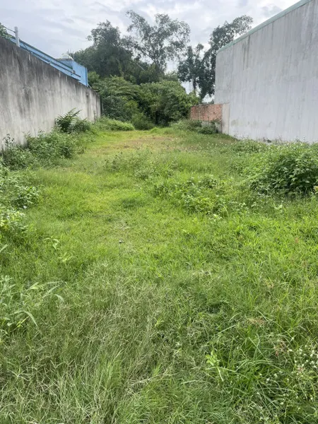 Bán đất 353.9m² ngang 11m giá 2 tỷ Xã Mỹ Hạnh