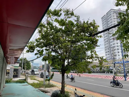 Bán đất 754.9m² ngang 25,6m giá 13 tỷ Phường Thủ Dầu Một
