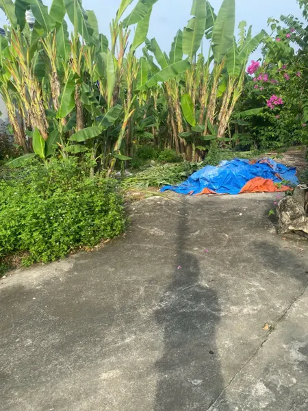 Bán đất 61m² ngang 5,9m giá 630 triệu Phường Lưu Kiếm( kênh giang). liên hệ 0362558882