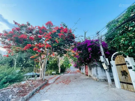 Bán 777m2 đất view biển bãi dâu trần phú p5 vũng tàu chỉ 45 triệu/m2 sổ hồng lâu dài