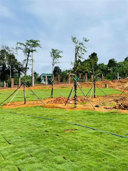 Đất sổ đỏ, 327 triệu vốn tự có