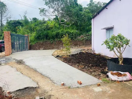 Vườn mai 6258m2 trên đồi sẵn 300m2 thổ cư ngang 68m nở hậu 80m chỉ 1,8 triệu/m2