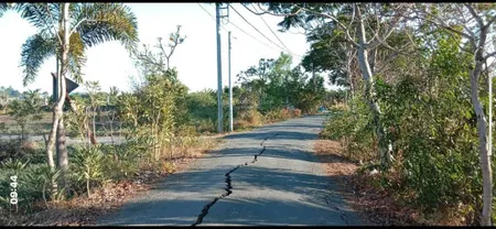 Chính chủ cần bán lô đất trồng cây hàng năm xã hưng long, bình chánh. giá 6tỷ
