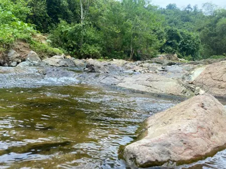 Siêu phẩm bám mặt đường 250m, bám suối 200m cực đẹp xem ngay kẻo lỡ kim bôi hòa bình giá rẻ
