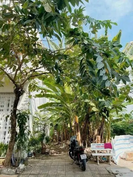 75. Bán nền 55B2 Khu dân cư Hưng Phú 1. Phường Hưng Phú. Quận Cái Răng. TPCT