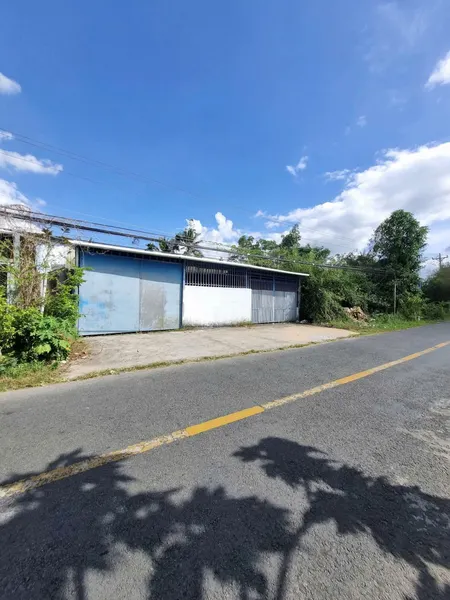81. Bán 5305m²đất mặt tiền Tỉnh Lộ 923 Ô Môn