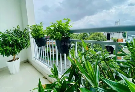 Bán chung cư 3pn, 2wc tại thanh bình bình dương , 1,9 tỷ, 79,7m2 hiện nay rất khan hiếm.