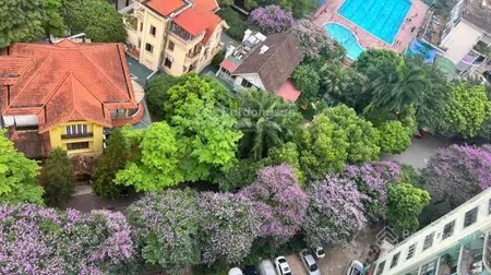 Giá chuẩn, tt thật bán chcc tại làng quốc tế thăng long, trần đăng ninh, cầu giấy 3 ngủ, 2vs, 8 tỷ