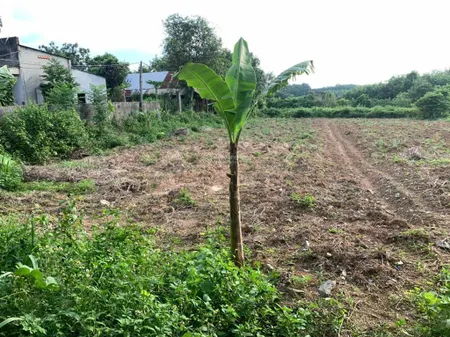 Bán đất an phú, hớn quản, bình phước (minh đức, đồng nai), giá ưu đãi 2xx triệu, diện tích 1000 m2