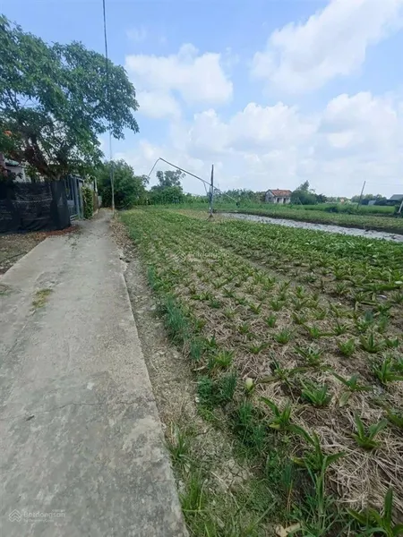Bán miếng đất có thổ cư đầu tư giá rẻ hưng long, bình chánh