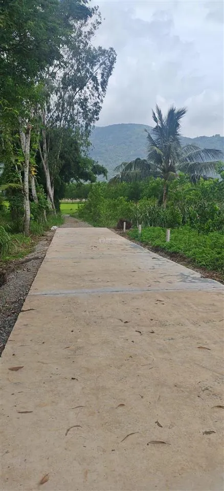 Chủ ngộp cần bán gấp hạ giá lô đất xuân trường, xuân lộc từ 720tr xuống 640tr bao mọi thuế phí
