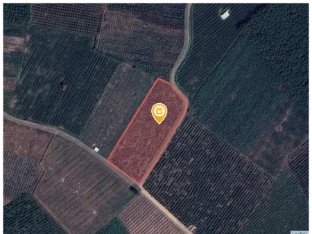 Bán đất 1000m² ngang 16m giá 875 triệu Xã Tân Phú