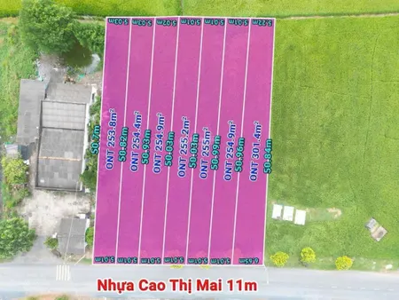 Cần bán 5 nền ( mặt tiền đường cao thị mai 11m tân trụ long an)