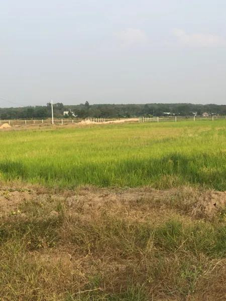 Bán đất 5844.1m² giá 12 tỷ Phường Tây Nam