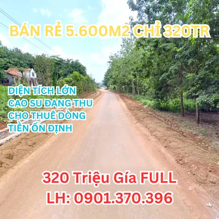 Cần Tiền Bán 5.600M2 có thổ cư Sổ Riêng, Nha bích chơn thành 320 triệu