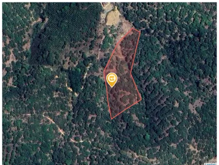 Bán đất 22000m² ngang 100m giá 1.25 tỷ Xã Cư Jút
