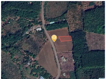 Bán đất 280m² ngang 5m giá 140 triệu Xã Tân Hưng