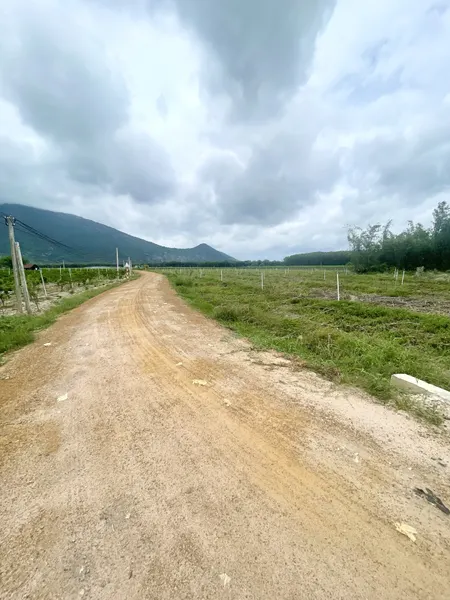 Bán đất 3400m² ngang 57m giá 1.17 tỷ Xã Dương Minh Châu