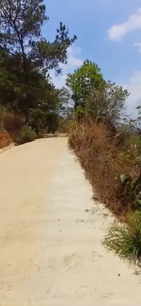 Bán 2ha5 đất xã Tà Nung