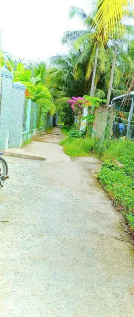 Bán Đất Gần Chợ Xã Trung Thành