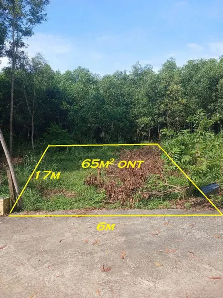 🏡 BÁN LÔ ĐẤT THỔ CƯ KHU BIỆT THỰ DỐC CÂY DẦU, PHÚ HỘI – NHƠN TRẠCH 🏡
