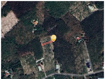 Bán đất 255m² ngang 5m giá 355 triệu Xã Long Hòa