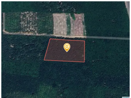 Bán đất 10215.6m² ngang 110m giá 9.5 tỷ Xã An Long