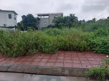 Đất Đấu giá Tổ 4, Quang Minh, 125m2, mt7m, 7.5 tỷ, Mê Linh.