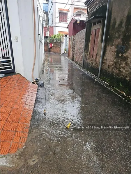 Góc đầu tư biệt thự cũ gia lâm ô tô vào nhà đất rộng chia lô tách thửa đẹp, hàng xóm vin