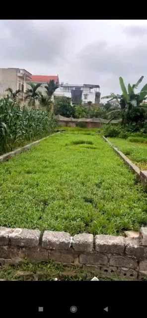 BÁN 400M2 ĐẤT - MẶT TIỀN RỘNG - Ô TÔ TRÁNH - NGŨ HIỆP - THANH - GIÁ 60 TRIỆU/M2