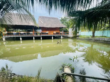 Bán nhà vườn, view sông thoáng mát, Lê Văn Lương, 653m², giá 3.1 tỷ Xã Hiệp Phước