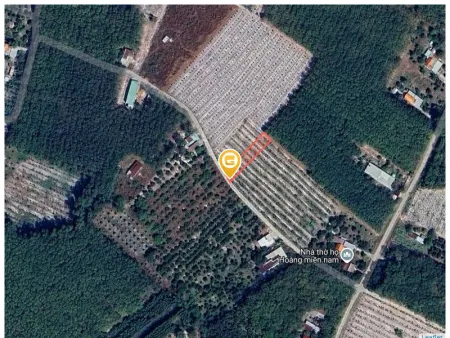 Bán đất 600m² ngang 10m giá 400 triệu Phường Minh Hưng