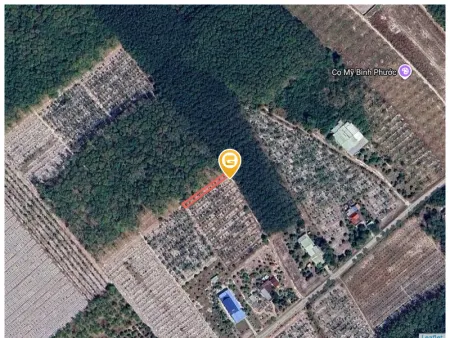 Bán đất 250m² ngang 5m giá 410 triệu Phường Minh Hưng