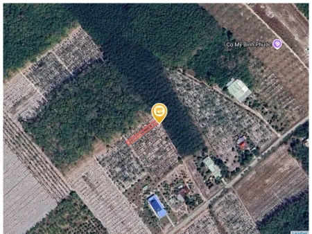 Bán đất 262m² ngang 5m giá 415 triệu Phường Minh Hưng