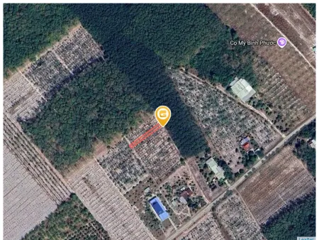 Bán đất 255m² ngang 5m giá 415 triệu Phường Minh Hưng