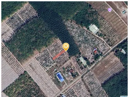 Bán đất 289m² ngang 5m giá 420 triệu Phường Minh Hưng