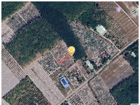 Bán đất 290m² ngang 5m giá 420 triệu Phường Minh Hưng