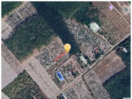 Bán đất 290m² ngang 5m giá 420 triệu Phường Minh Hưng