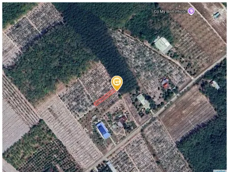 Bán đất 298m² ngang 5m giá 425 triệu Phường Minh Hưng