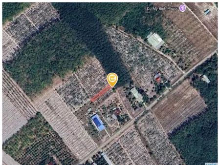 Bán đất 292m² ngang 5m giá 425 triệu Phường Minh Hưng