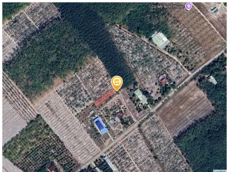 Bán đất 290m² ngang 5m giá 425 triệu Phường Minh Hưng