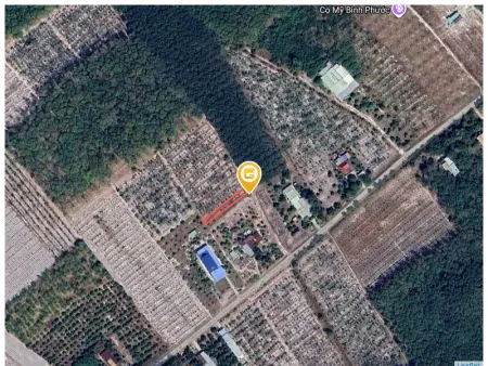 Bán đất 292m² ngang 5m giá 425 triệu Phường Minh Hưng