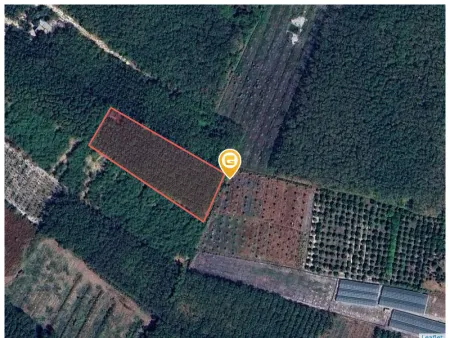 Bán đất 6900m² đã tách 6 sổ riêng mỗi sổ ngang 10 giá 600 triệu 1 sổ Phường Minh Hưng
