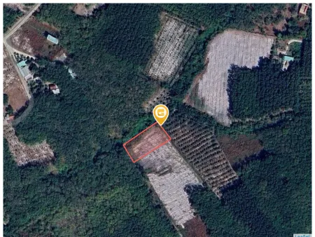 Bán đất 1980m² ngang 30m giá 220 triệu Phường Minh Hưng