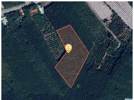 Bán đất 13110m² giá 3 tỷ Phường Minh Hưng
