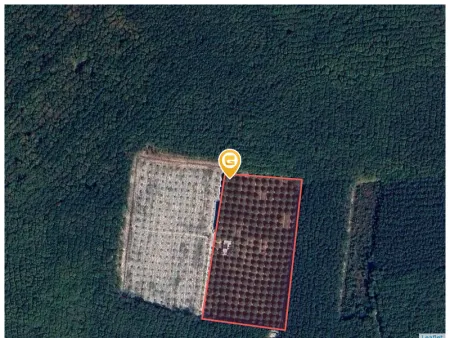 Bán đất 11500m² ngang 150m giá 4 tỷ Phường Minh Hưng