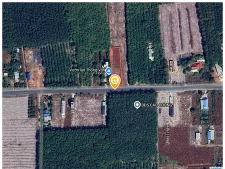 Bán đất 1600m² ngang 20m giá 980 triệu Phường Minh Hưng